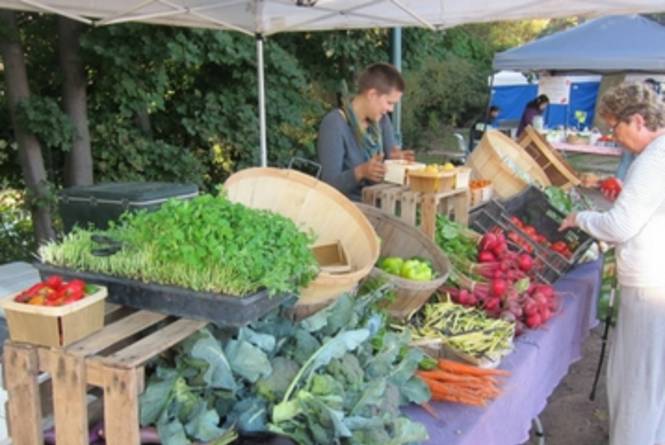 Downtown Farmers Market