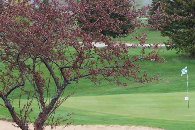 Elmbrook Golf Course