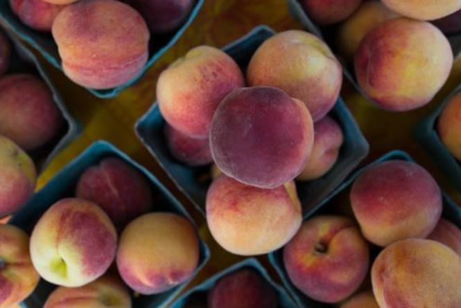 Empire Farmers Market
