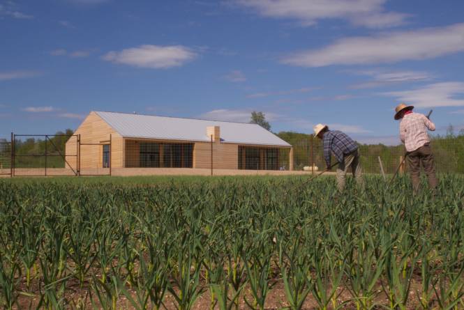 Farm Club