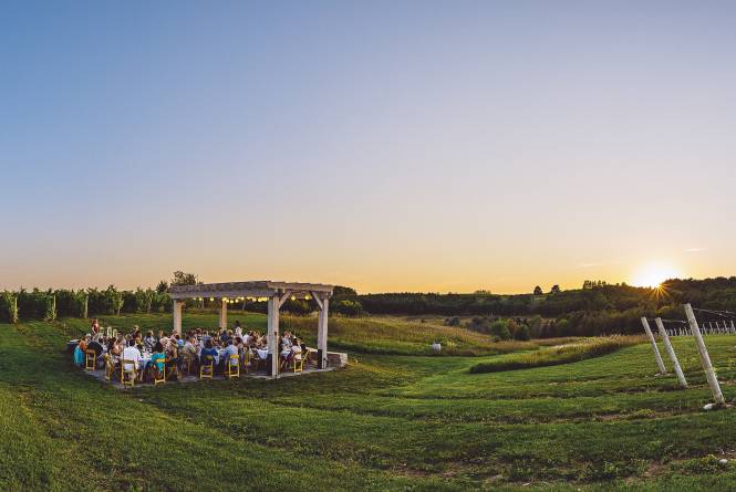 Wine Dinner in the Vineyard