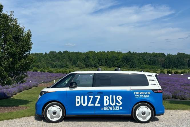 Fully Electric Buzz Bus