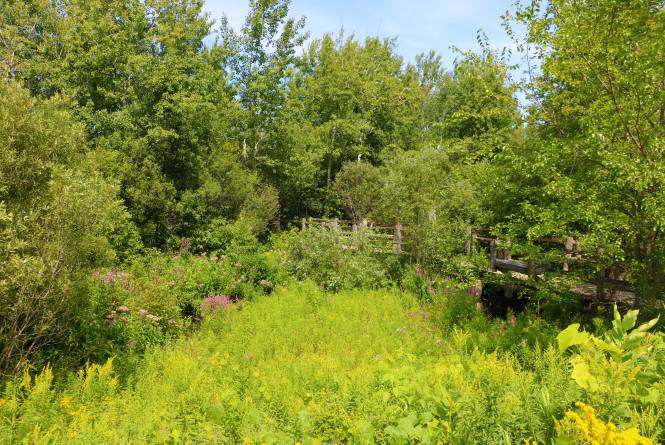 Kid's Creek Park