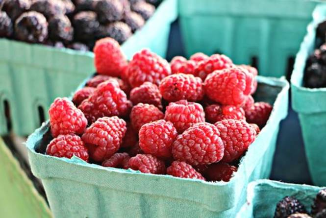 Leland Farmers Market