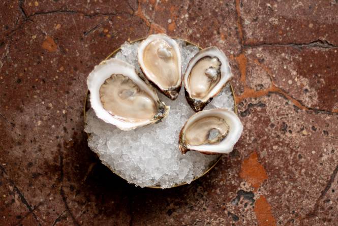 Umbo Oysters