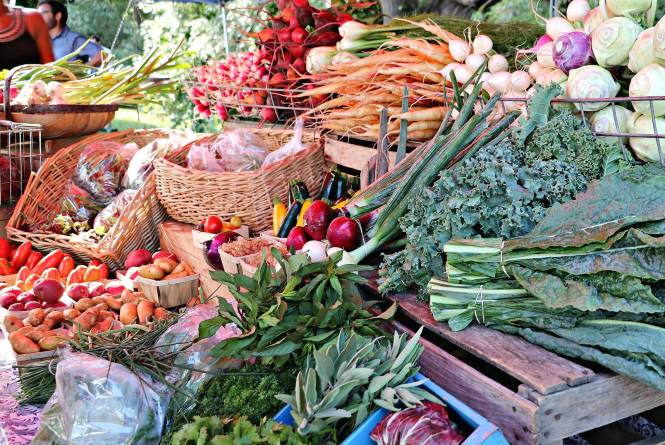 Northport Farmers Market