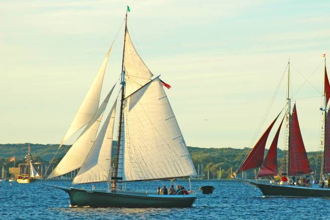 SAIL Champion Charters
