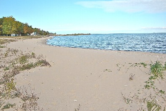 Northport Beach