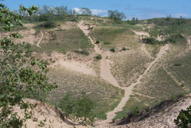 Dunes Trail