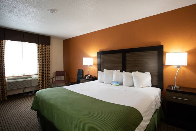Single King Rooms
