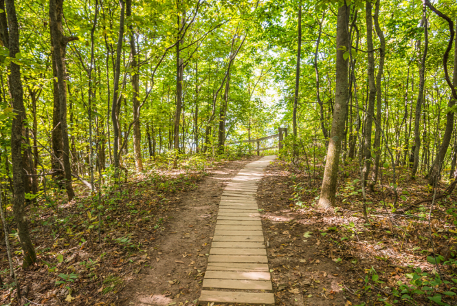 Sleeping Bear Birding Trail-Sleeping Bear Dunes