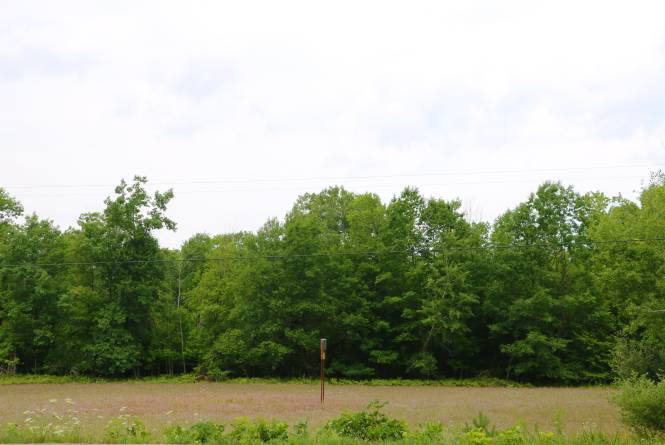 Swanson Preserve