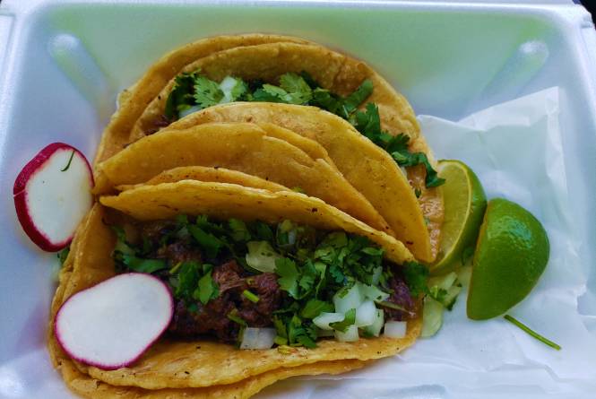 TC Mexican