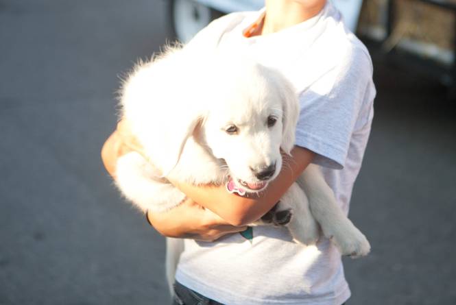 Tulamar Kennel