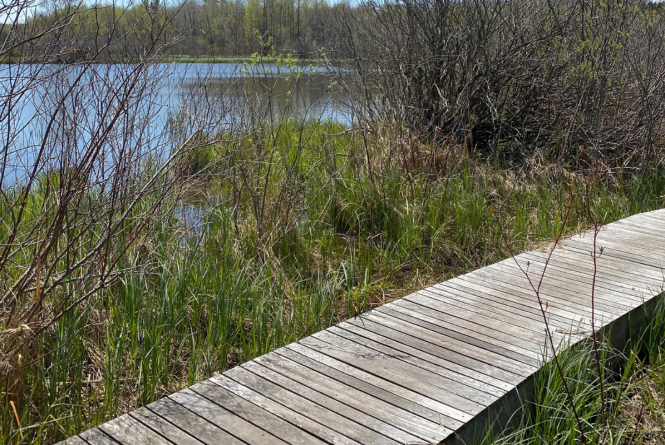 Upper Herring Lake Nature Preserve