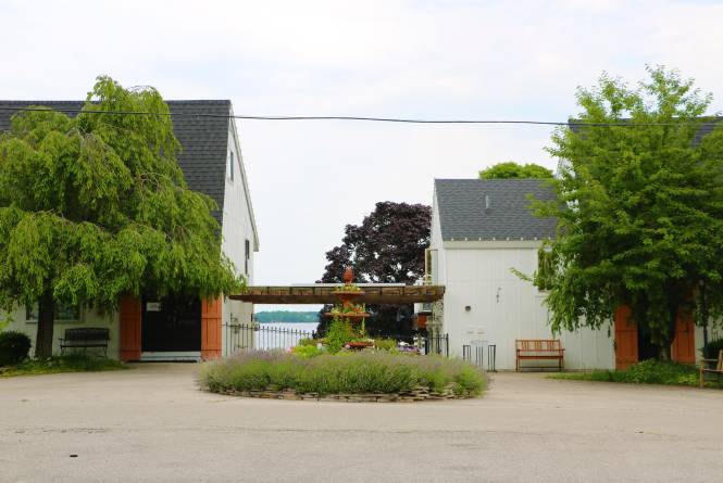 Vineyard Inn