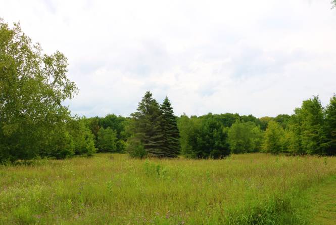 Windy Moraine Trail
