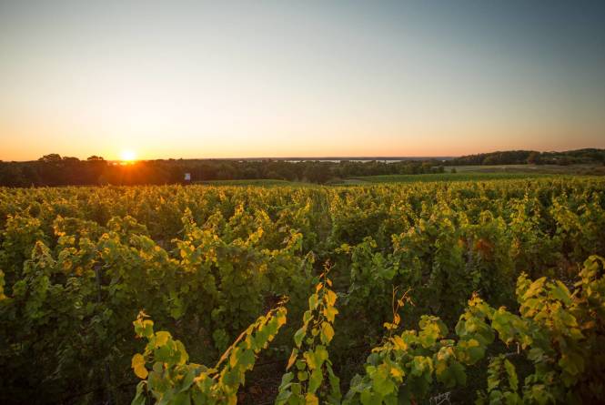 Wineries of Old Mission Peninsula