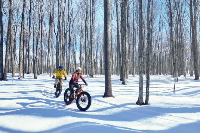 Fat Tire Biking