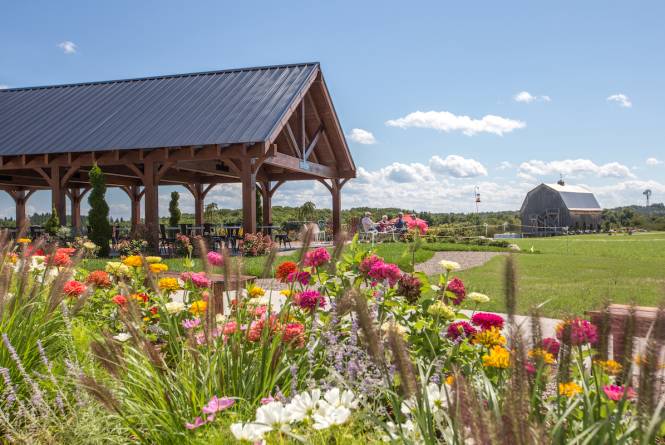 French Valley Vineyard