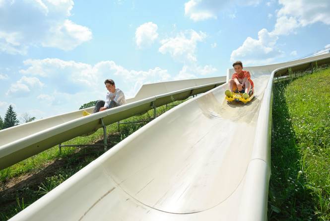 Alpine Slide