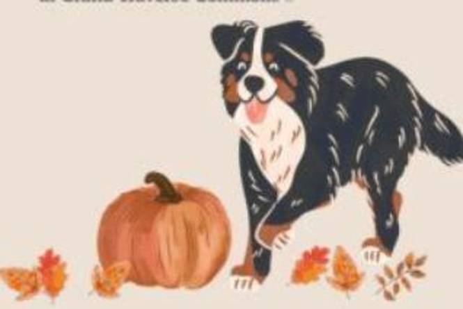 Fall Fido Fest at Black Star Farms | Suttons Bay, MI 49682