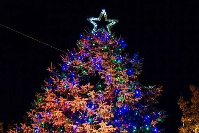 Light Up Downtown Day 1: Traverse City Tree Lighting | Traverse City ...