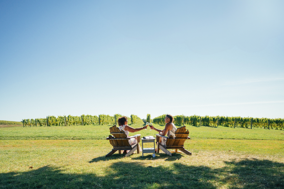 friends cheersing to a glass of wine at a vineyard