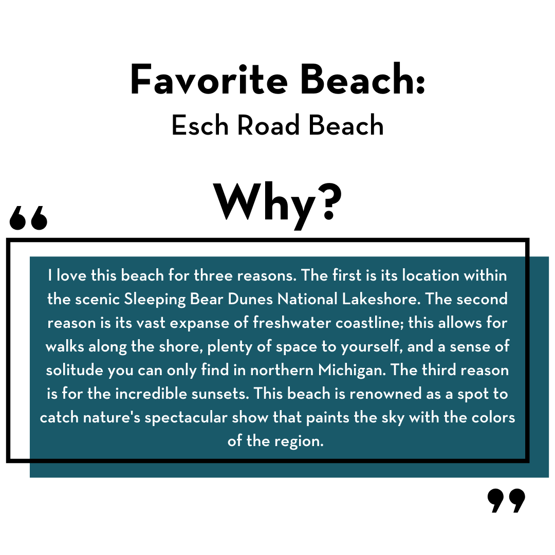 Staff pick: beach