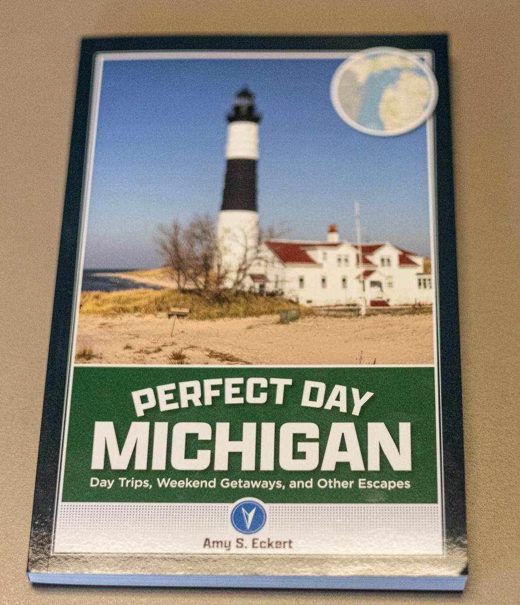 perfect day book