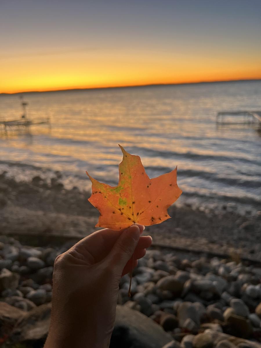 Sunset + fall color