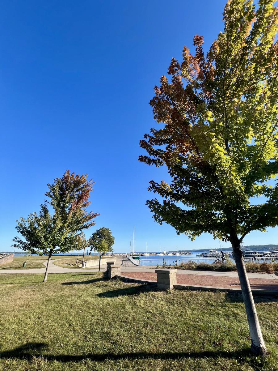 Open space fall color