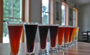 Beers at Terra Firma