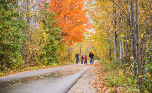 Fall color bike ride