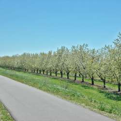 Outdoor Recreation
