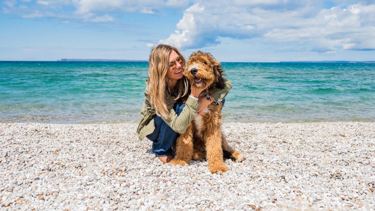 Dog Friendly Beaches - Spring