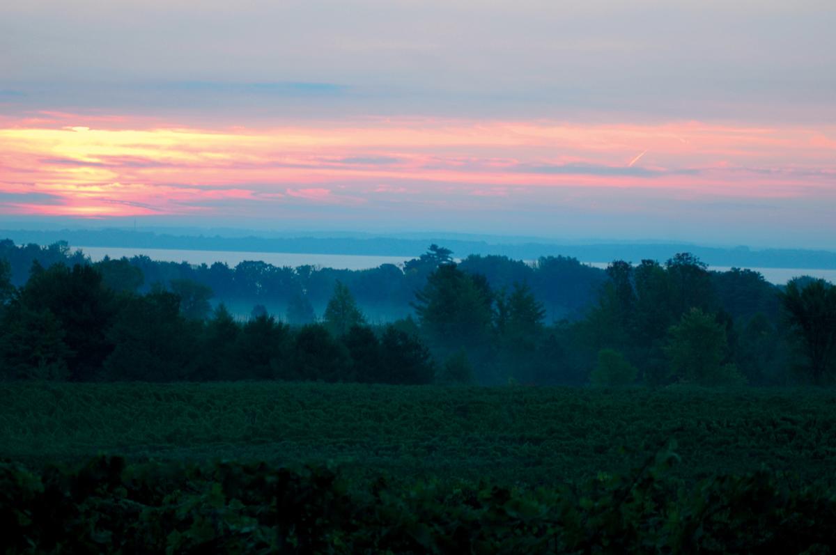 Sunrise on Old Mission Peninsula