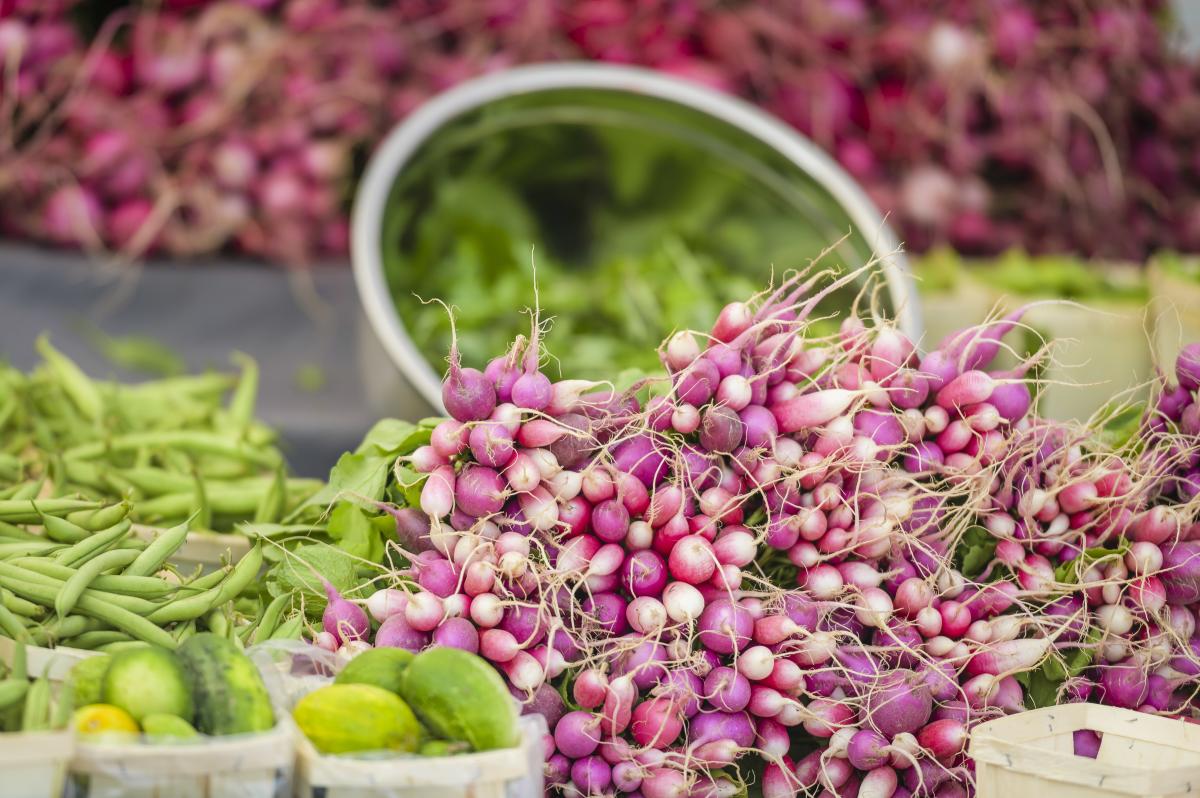 Sara Hardy Farmers Market 1