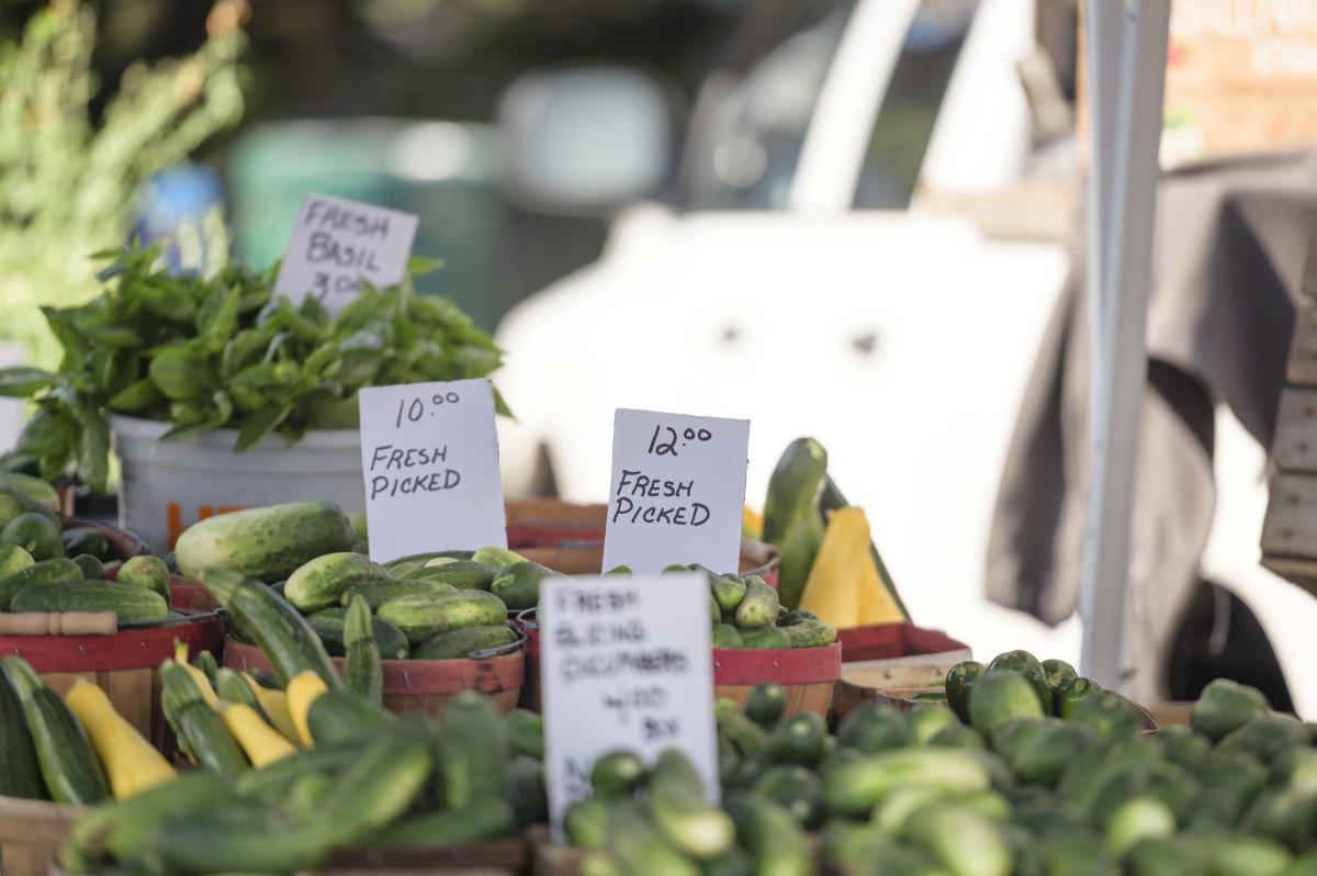Sara Hardy Farmers Market 2