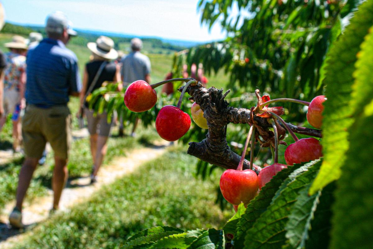 Bardenhagen Farms Tour