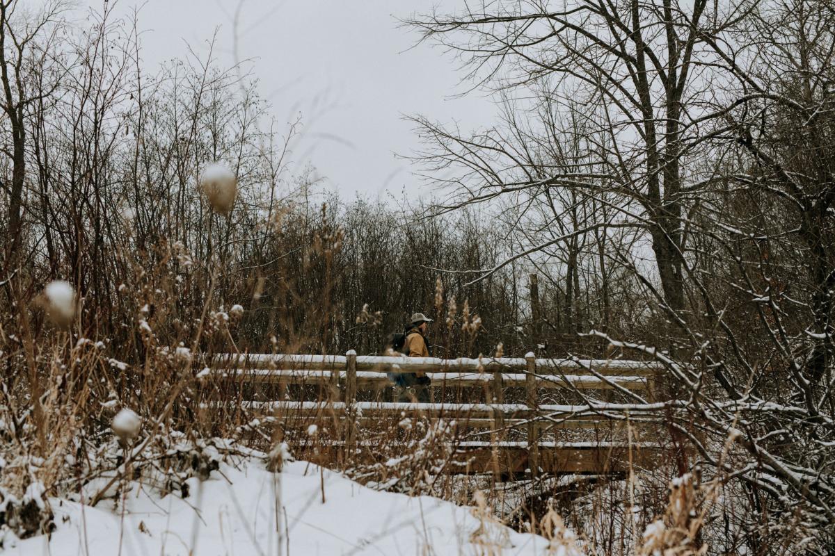 Winter fly fishing blog