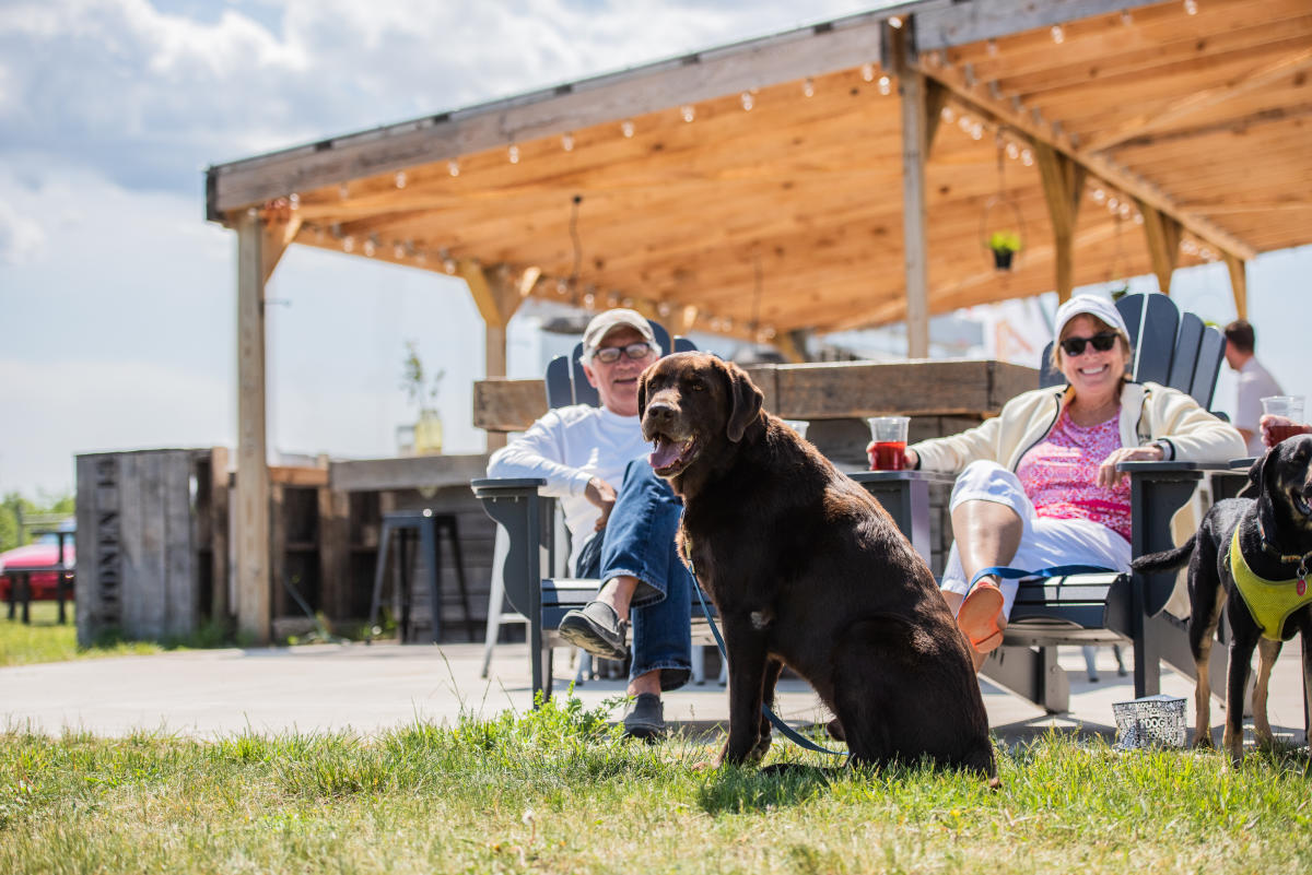 Sitting on a patio with a dog