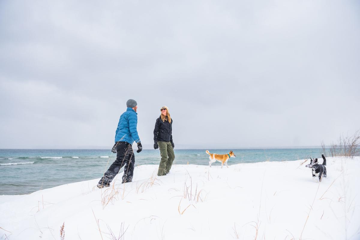 Dog friendly activities - winter