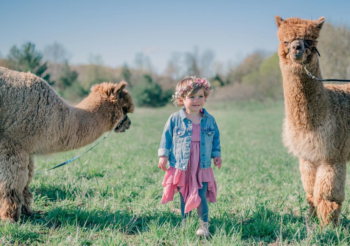 Crystal Lake Alpaca Farm