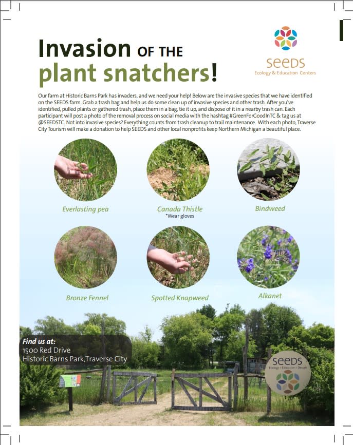 SEEDS Invasive Species Removal Instructions