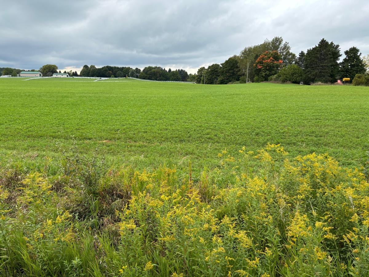 Views on the Leelanau Trail