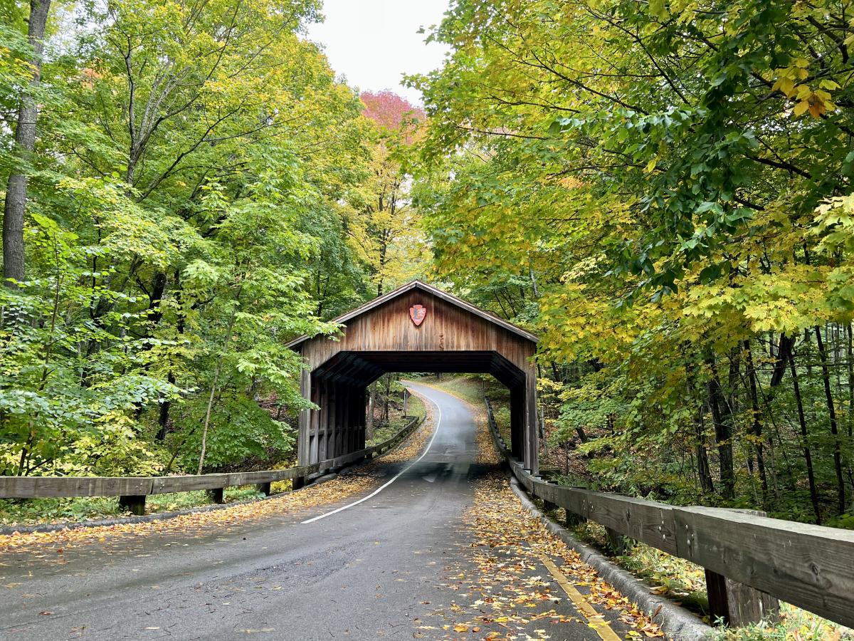 Fall color at Sleeping Bear Dunes