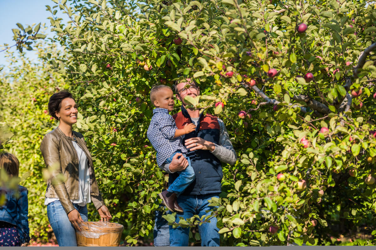Fall Things To Do in Traverse City | Pumpkin Patches & Ciders