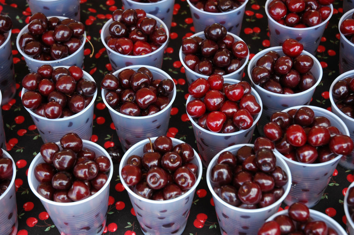 Traverse City Cherry Festival - Celebrating Cherries in 2026