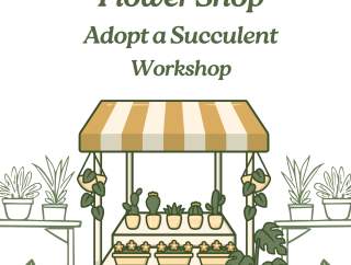 Adopt A Succulent Workshop